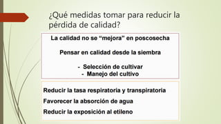 ¿Qué medidas tomar para reducir la
pérdida de calidad?
 
