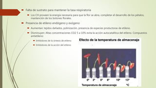  Falta de sustrato para mantener la tasa respiratoria
 Los CH proveen la energía necesaria para que la flor se abra, completar el desarrollo de los pétalos,
mantención de los botones florales.
 Presencia de etileno endógeno y exógeno
 Aumentan: tejidos dañados, polinización, presencia de especies productoras de etileno.
 Disminuyen: Altas concentraciones CO2 5 a 10% evita la acción autocatalítica del etileno. Compuestos
antietileno:
 Inhibidores de la síntesis de etileno
 Inhibidores de la acción del etileno
 