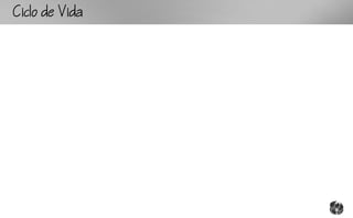 CcoV
 