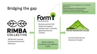 Bridging the gap
500 Kha for sourcing
Environmental Service
Outcomes
Business partner that
builds the program,
operates over a mutually
agreed period and
transfers
Environmental Service
Outcomes Provider
Rimba Collective
incubation and readiness
facility
Sustainable Forest management and -restoration
Agroforestry
Project preparation and implementation
Ecosystem services including Carbon
Investment planning and asset management
 