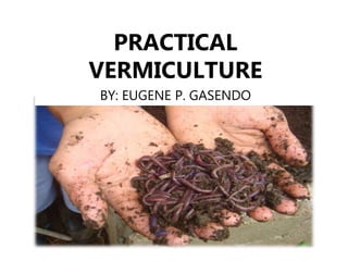 PRACTICAL
VERMICULTURE
BY: EUGENE P. GASENDO
 