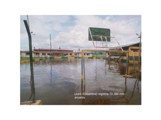 Lloró (Colombia) registra 13.300 mm
anuales.
 