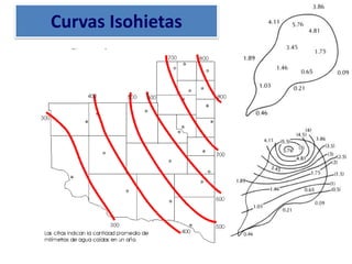 Curvas Isohietas
 