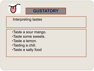 GUSTATORY
Interpreting tastes
•Taste a sour mango.
•Taste some sweets.
•Taste a lemon.
•Tasting a chili.
•Taste a salty food
 