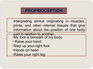 PROPRIOCEPTION
Interpreting stimuli originating in muscles,
joints, and other internal tissues that give
information about the position of one body
part in relation to another.
•My foot is beneath of my body
• Raise your hand
•Step up your right foot
•Hands on head
•Raise your right leg
 