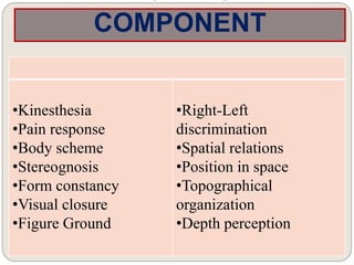 •Kinesthesia
•Pain response
•Body scheme
•Stereognosis
•Form constancy
•Visual closure
•Figure Ground
•Right-Left
discrimination
•Spatial relations
•Position in space
•Topographical
organization
•Depth perception
COMPONENT
 