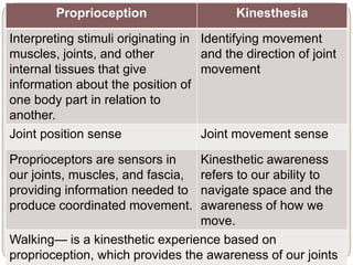 Proprioception Kinesthesia
Interpreting stimuli originating in
muscles, joints, and other
internal tissues that give
information about the position of
one body part in relation to
another.
Identifying movement
and the direction of joint
movement
Joint position sense Joint movement sense
Proprioceptors are sensors in
our joints, muscles, and fascia,
providing information needed to
produce coordinated movement.
Kinesthetic awareness
refers to our ability to
navigate space and the
awareness of how we
move.
Walking— is a kinesthetic experience based on
proprioception, which provides the awareness of our joints
 