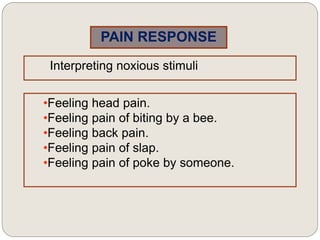 PAIN RESPONSE
Interpreting noxious stimuli
•Feeling head pain.
•Feeling pain of biting by a bee.
•Feeling back pain.
•Feeling pain of slap.
•Feeling pain of poke by someone.
 