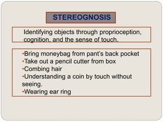 STEREOGNOSIS
Identifying objects through proprioception,
cognition, and the sense of touch.
•Bring moneybag from pant’s back pocket
•Take out a pencil cutter from box
•Combing hair
•Understanding a coin by touch without
seeing.
•Wearing ear ring
 