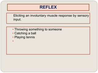 REFLEX
Eliciting an involuntary muscle response by sensory
input.
• Throwing something to someone
• Catching a ball
• Playing tennis
•
 
