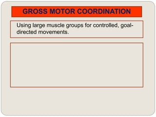 GROSS MOTOR COORDINATION
Using large muscle groups for controlled, goal-
directed movements.
 