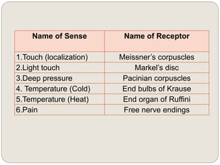 Name of Sense Name of Receptor
1.Touch (localization) Meissner’s corpuscles
2.Light touch Markel’s disc
3.Deep pressure Pacinian corpuscles
4. Temperature (Cold) End bulbs of Krause
5.Temperature (Heat) End organ of Ruffini
6.Pain Free nerve endings
 