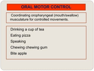 ORAL MOTOR CONTROL
Coordinating oropharyngeal (mouth/swallow)
musculature for controlled movements.
Drinking a cup of tea
Eating pizza
Speaking
Chewing chewing gum
Bite apple
 