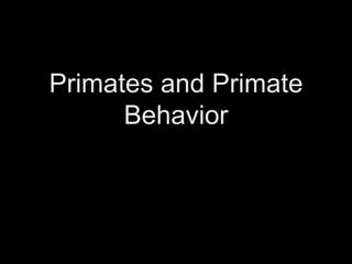 Primates and Primate
Behavior
 
