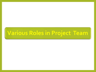 Various Roles in Project Team
 