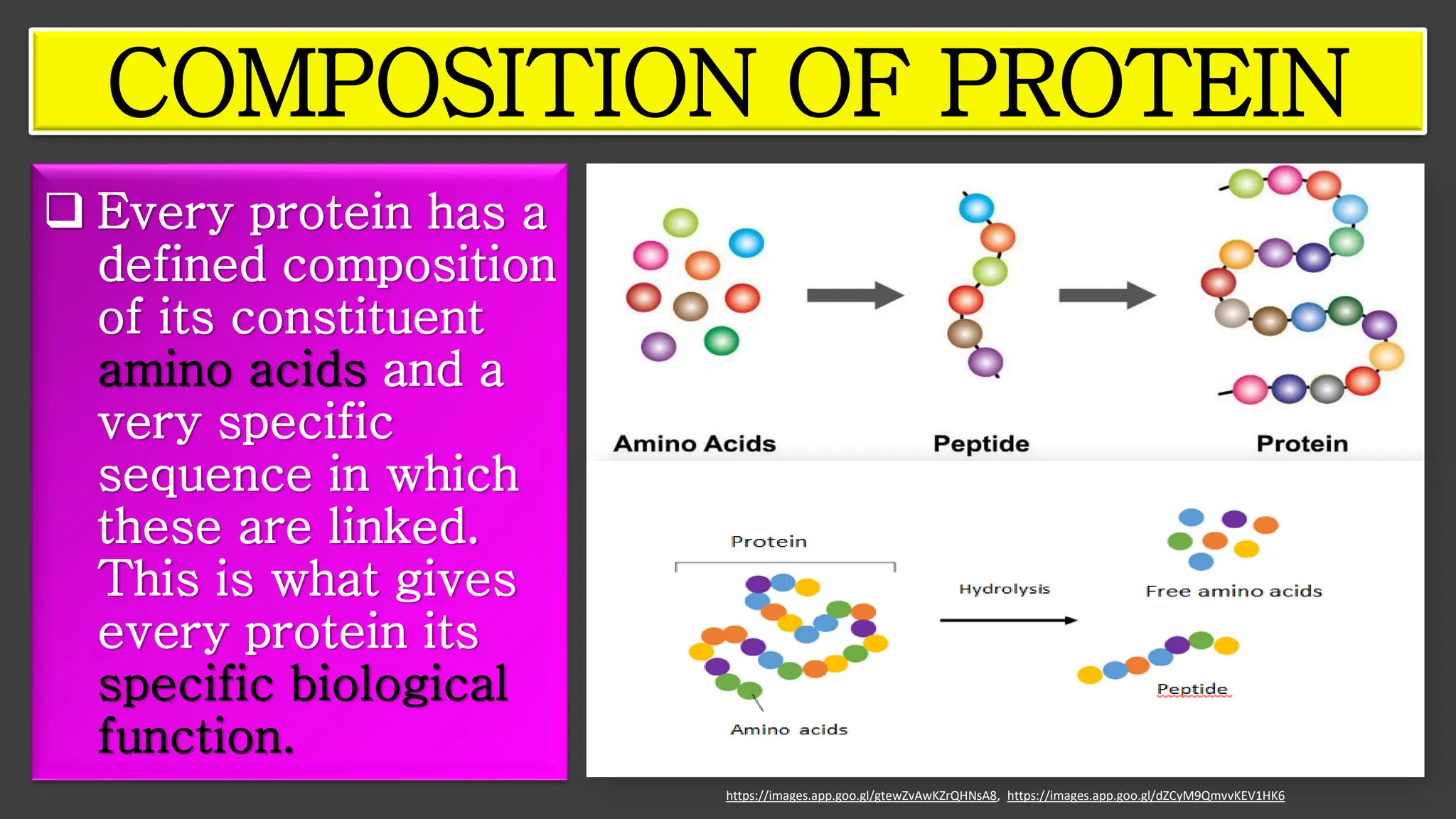 ❑ Every protein has a
defined composition
of its constituent
amino acids and a
very specific
sequence in which
these are linked.
This is what gives
every protein its
specific biological
function.
COMPOSITION OF PROTEIN
https://images.app.goo.gl/gtewZvAwKZrQHNsA8, https://images.app.goo.gl/dZCyM9QmvvKEV1HK6
 