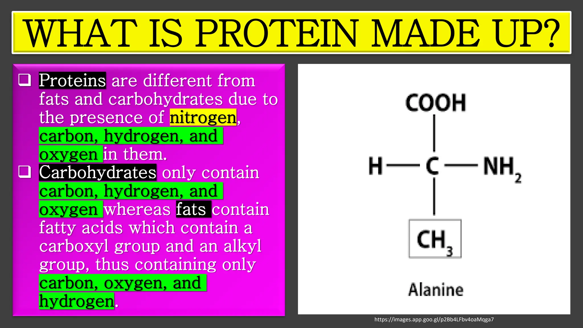 WHAT IS PROTEIN MADE UP?
❑ Proteins are different from
fats and carbohydrates due to
the presence of nitrogen,
carbon, hydrogen, and
oxygen in them.
❑ Carbohydrates only contain
carbon, hydrogen, and
oxygen whereas fats contain
fatty acids which contain a
carboxyl group and an alkyl
group, thus containing only
carbon, oxygen, and
hydrogen.
https://images.app.goo.gl/p2Bb4LFbv4oaMqga7
 