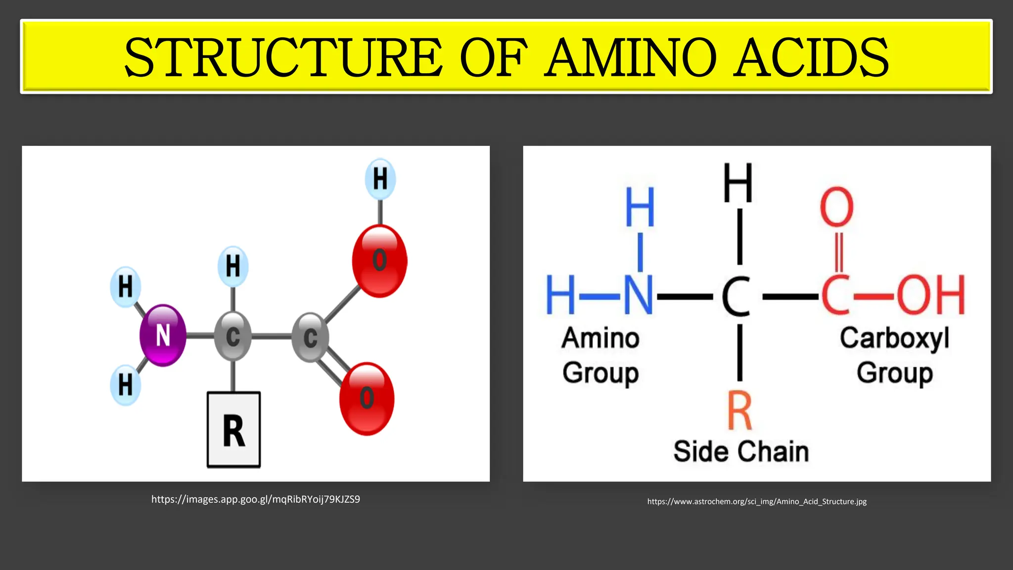 https://images.app.goo.gl/mqRibRYoij79KJZS9 https://www.astrochem.org/sci_img/Amino_Acid_Structure.jpg
STRUCTURE OF AMINO ACIDS
 