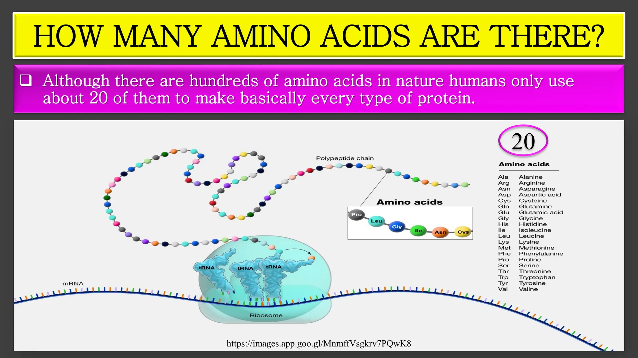 https://images.app.goo.gl/MnmffVsgkrv7PQwK8
HOW MANY AMINO ACIDS ARE THERE?
20
❑ Although there are hundreds of amino acids in nature humans only use
about 20 of them to make basically every type of protein.
 
