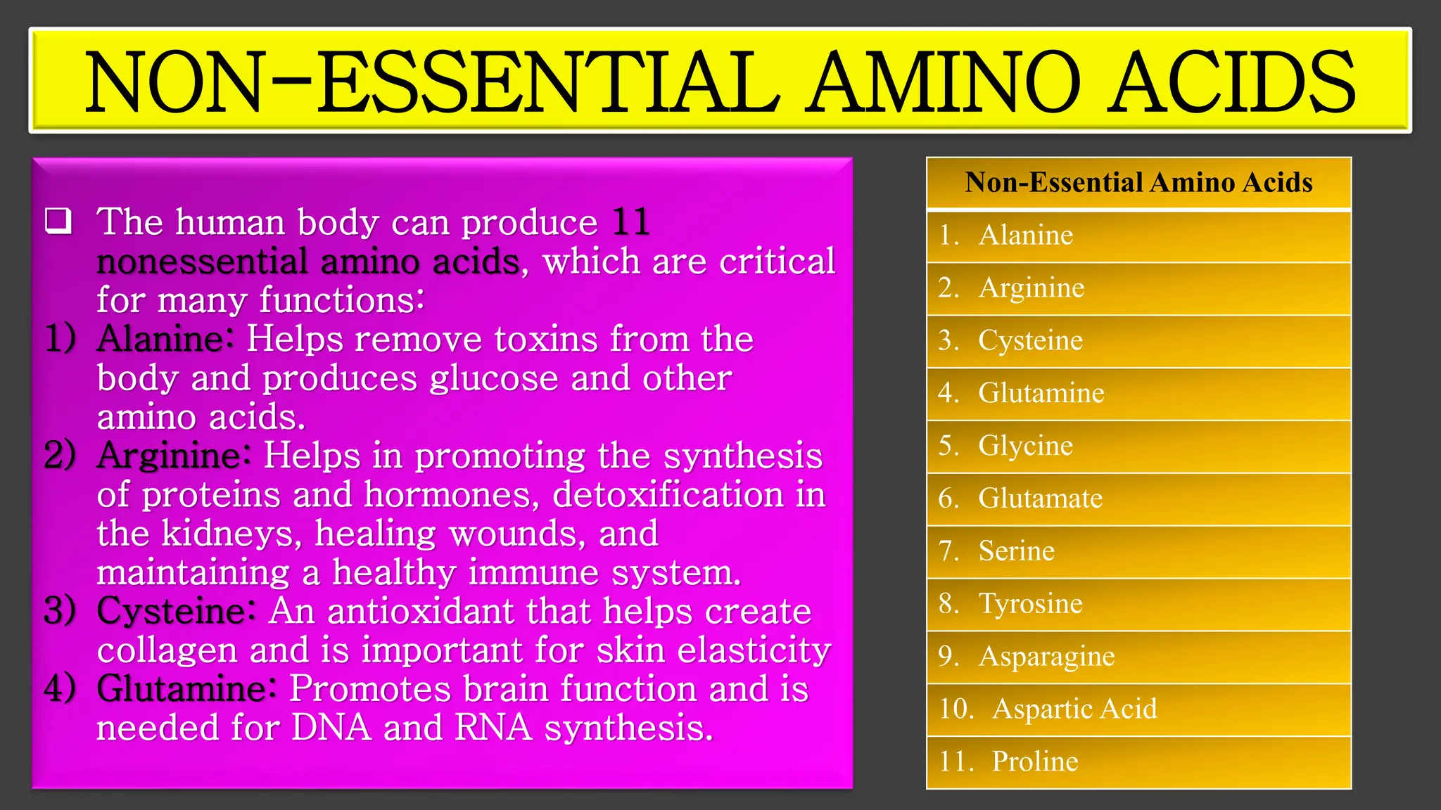 ❑ The human body can produce 11
nonessential amino acids, which are critical
for many functions:
1) Alanine: Helps remove toxins from the
body and produces glucose and other
amino acids.
2) Arginine: Helps in promoting the synthesis
of proteins and hormones, detoxification in
the kidneys, healing wounds, and
maintaining a healthy immune system.
3) Cysteine: An antioxidant that helps create
collagen and is important for skin elasticity
4) Glutamine: Promotes brain function and is
needed for DNA and RNA synthesis.
NON-ESSENTIAL AMINO ACIDS
Non-Essential Amino Acids
1. Alanine
2. Arginine
3. Cysteine
4. Glutamine
5. Glycine
6. Glutamate
7. Serine
8. Tyrosine
9. Asparagine
10. Aspartic Acid
11. Proline
 