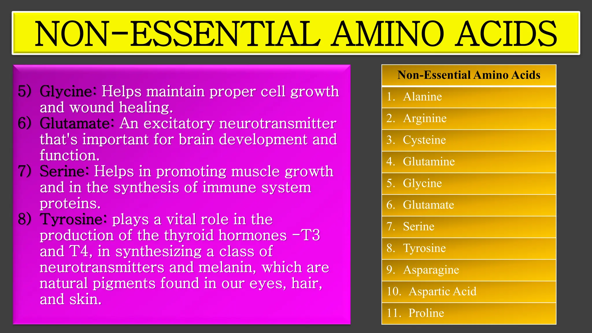 5) Glycine: Helps maintain proper cell growth
and wound healing.
6) Glutamate: An excitatory neurotransmitter
that's important for brain development and
function.
7) Serine: Helps in promoting muscle growth
and in the synthesis of immune system
proteins.
8) Tyrosine: plays a vital role in the
production of the thyroid hormones -T3
and T4, in synthesizing a class of
neurotransmitters and melanin, which are
natural pigments found in our eyes, hair,
and skin.
NON-ESSENTIAL AMINO ACIDS
Non-Essential Amino Acids
1. Alanine
2. Arginine
3. Cysteine
4. Glutamine
5. Glycine
6. Glutamate
7. Serine
8. Tyrosine
9. Asparagine
10. Aspartic Acid
11. Proline
 