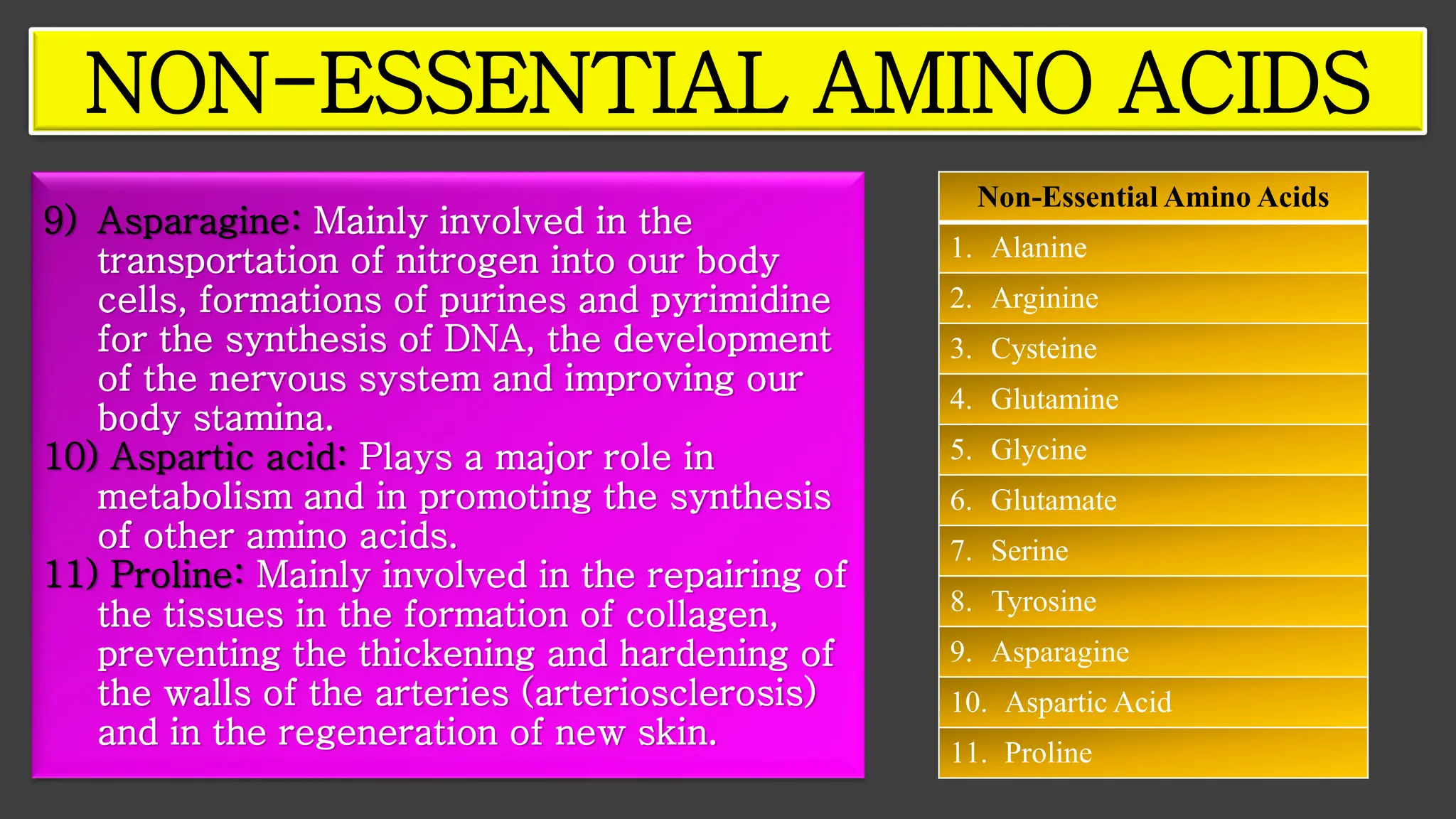 9) Asparagine: Mainly involved in the
transportation of nitrogen into our body
cells, formations of purines and pyrimidine
for the synthesis of DNA, the development
of the nervous system and improving our
body stamina.
10) Aspartic acid: Plays a major role in
metabolism and in promoting the synthesis
of other amino acids.
11) Proline: Mainly involved in the repairing of
the tissues in the formation of collagen,
preventing the thickening and hardening of
the walls of the arteries (arteriosclerosis)
and in the regeneration of new skin.
NON-ESSENTIAL AMINO ACIDS
Non-Essential Amino Acids
1. Alanine
2. Arginine
3. Cysteine
4. Glutamine
5. Glycine
6. Glutamate
7. Serine
8. Tyrosine
9. Asparagine
10. Aspartic Acid
11. Proline
 