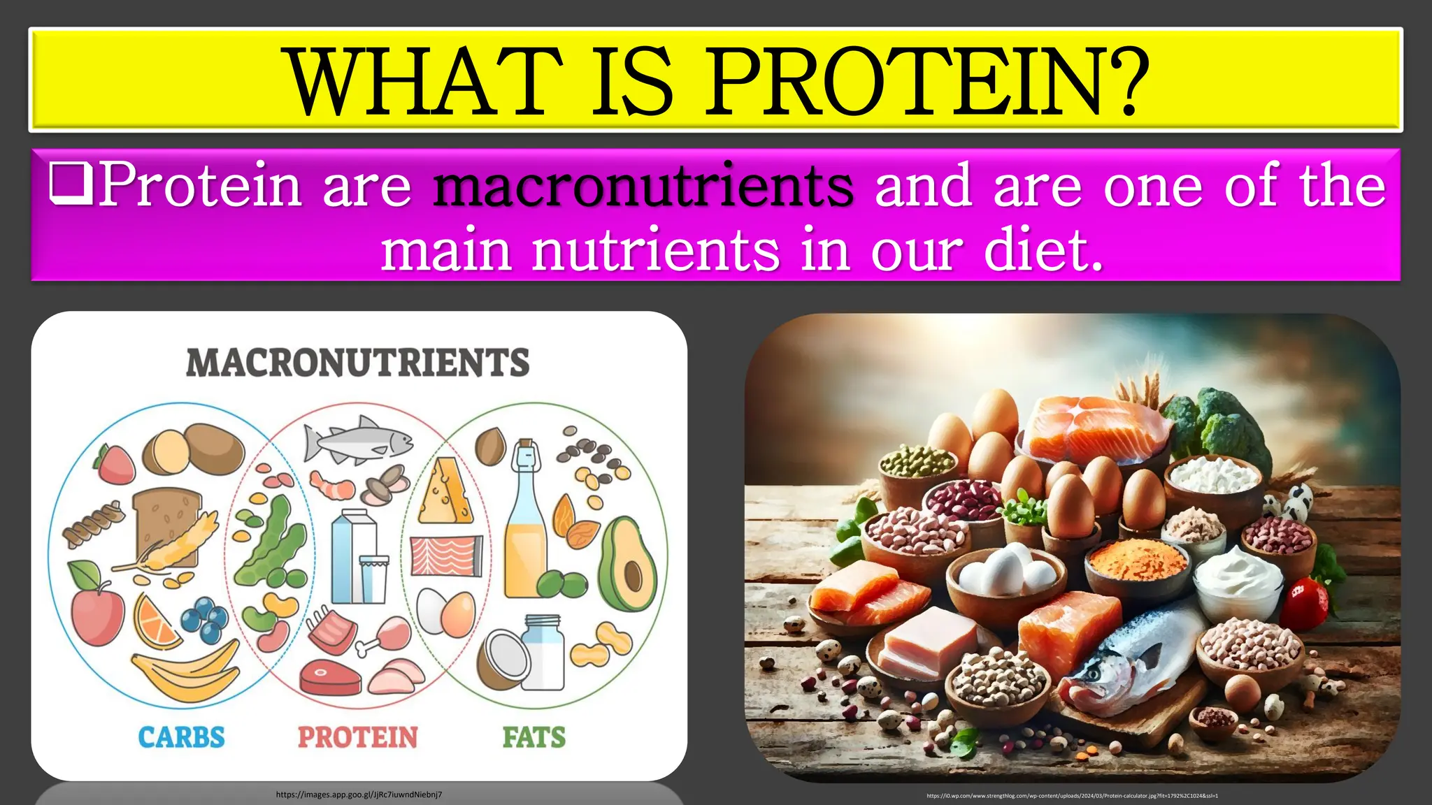 ❑Protein are macronutrients and are one of the
main nutrients in our diet.
https://images.app.goo.gl/JjRc7iuwndNiebnj7
WHAT IS PROTEIN?
https://i0.wp.com/www.strengthlog.com/wp-content/uploads/2024/03/Protein-calculator.jpg?fit=1792%2C1024&ssl=1
 