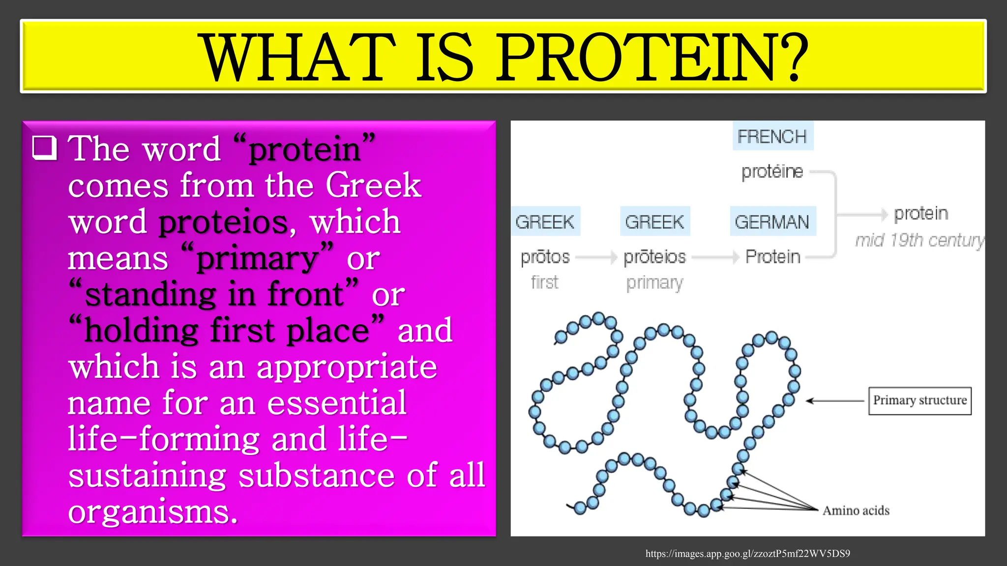 ❑ The word “protein”
comes from the Greek
word proteios, which
means “primary” or
“standing in front” or
“holding first place” and
which is an appropriate
name for an essential
life-forming and life-
sustaining substance of all
organisms.
https://images.app.goo.gl/zzoztP5mf22WV5DS9
WHAT IS PROTEIN?
 