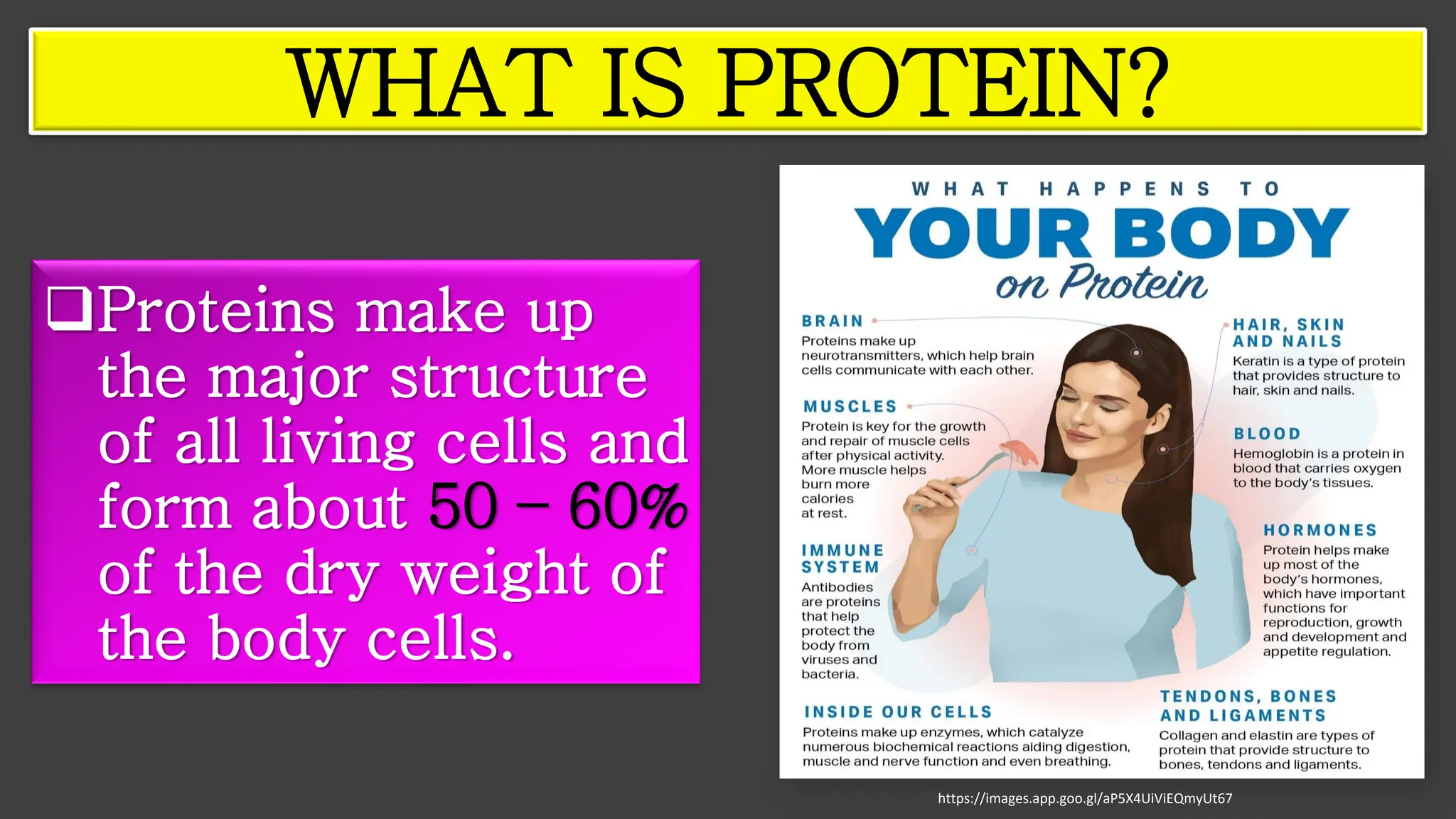 ❑Proteins make up
the major structure
of all living cells and
form about 50 – 60%
of the dry weight of
the body cells.
WHAT IS PROTEIN?
https://images.app.goo.gl/aP5X4UiViEQmyUt67
 