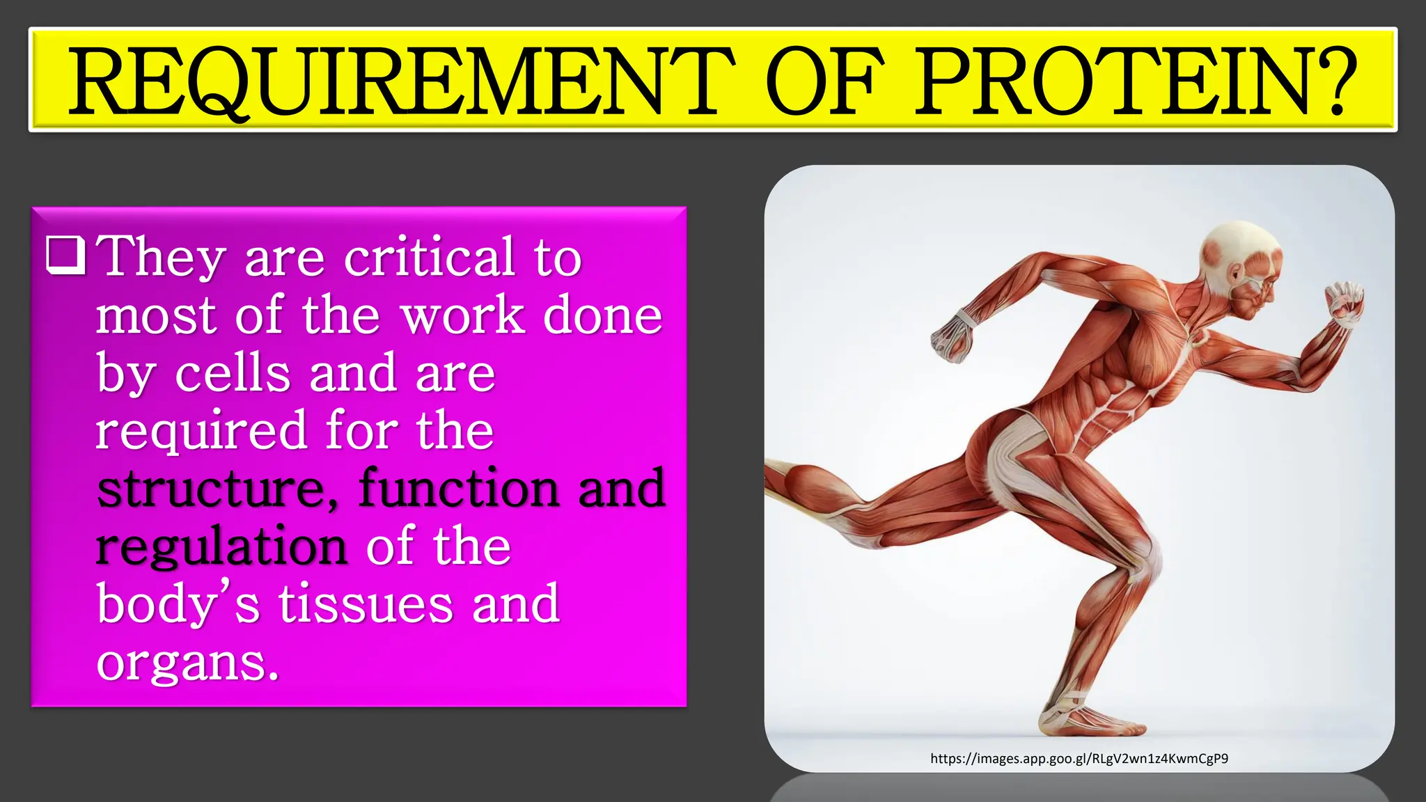 ❑They are critical to
most of the work done
by cells and are
required for the
structure, function and
regulation of the
body’s tissues and
organs.
REQUIREMENT OF PROTEIN?
https://images.app.goo.gl/RLgV2wn1z4KwmCgP9
 