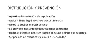 DISTRIBUCIÓN Y PREVENCIÓN
• Aproximadamente 40% de la población
• Malos hábitos higiénicos, toallas contaminadas
• Niños se pueden infectar al nacer
• Se previene mediante lavados vaginales constantes
• Hombre infectado debe ser tratado al mismo tiempo que su pareja
• Suspensión de relaciones sexuales o usar condón
 