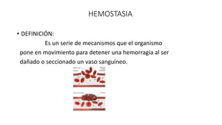HEMOSTASIA
• DEFINICIÓN:
Es un serie de mecanismos que el organismo
pone en movimiento para detener una hemorragia al ser
...
