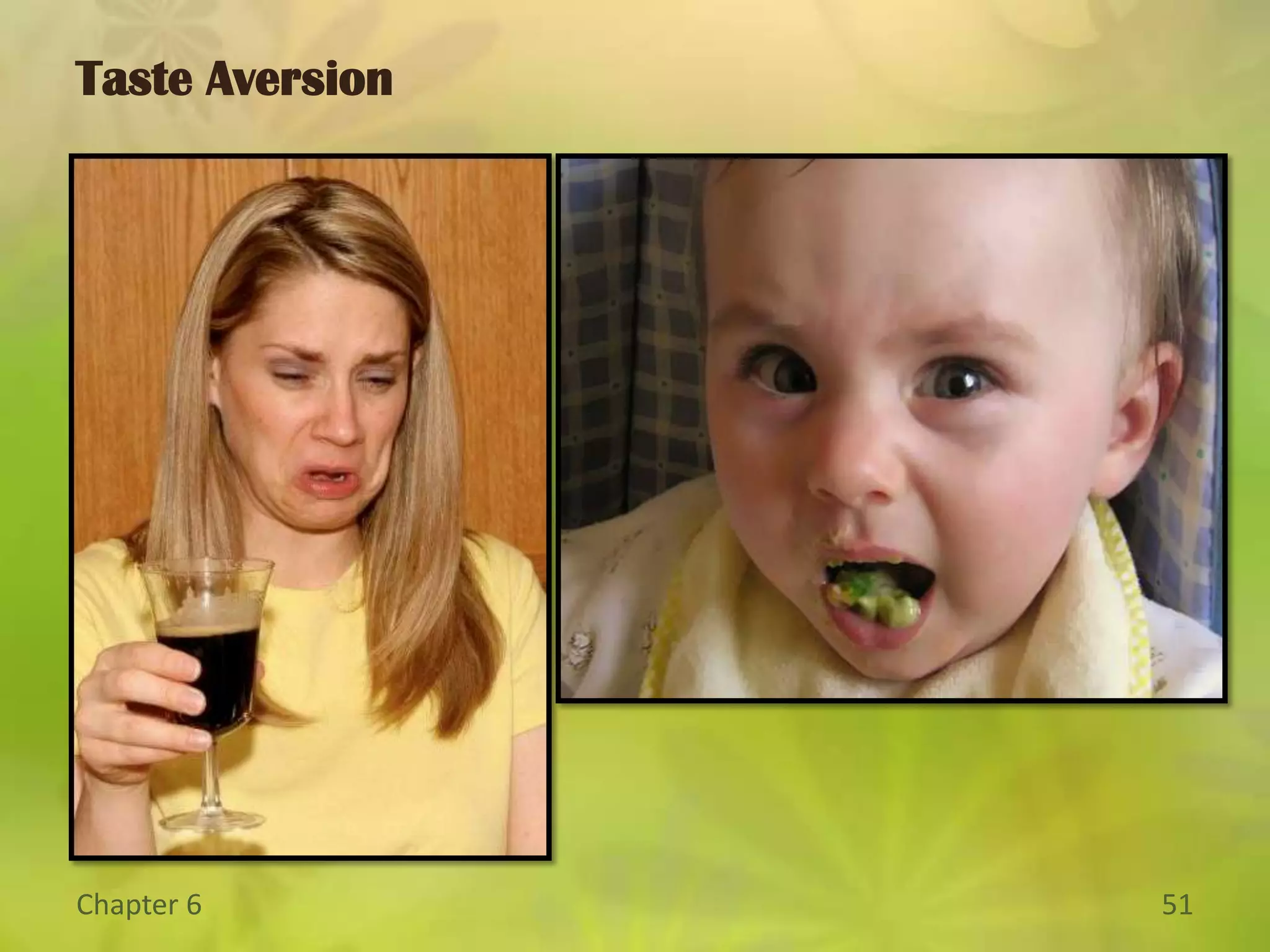 ReinforcementFigure 6.5The Effects of Reinforcement. One of the celebrities of modern psychology, an albino laboratory rat, earns its keep in a Skinner box. The animal presses a lever because of reinforcement—in the form of food pellets—delivered through the feeder.