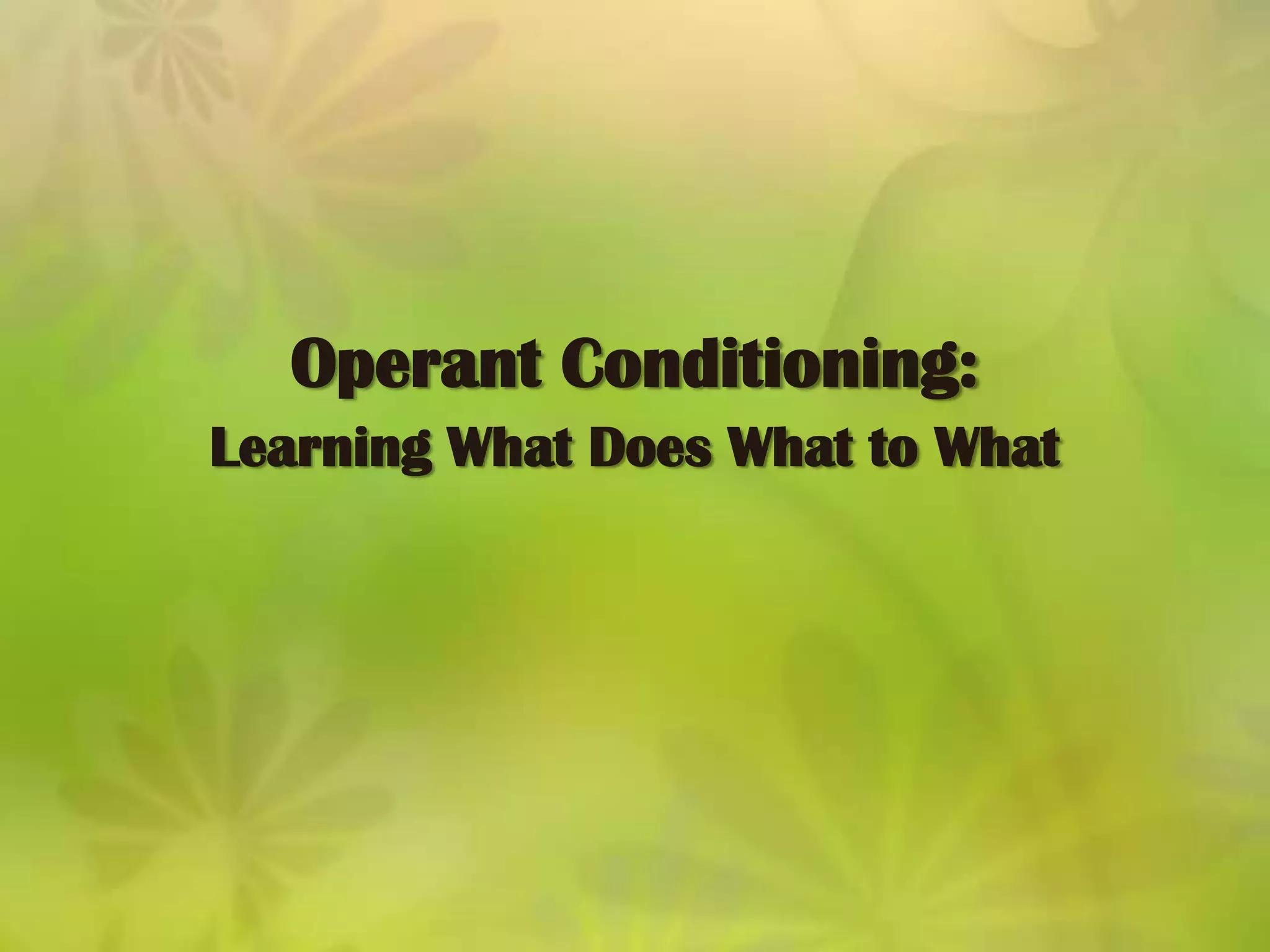 Discriminative stimuli act as cues by providing information about when an operant will be reinforced.Operant Conditioning