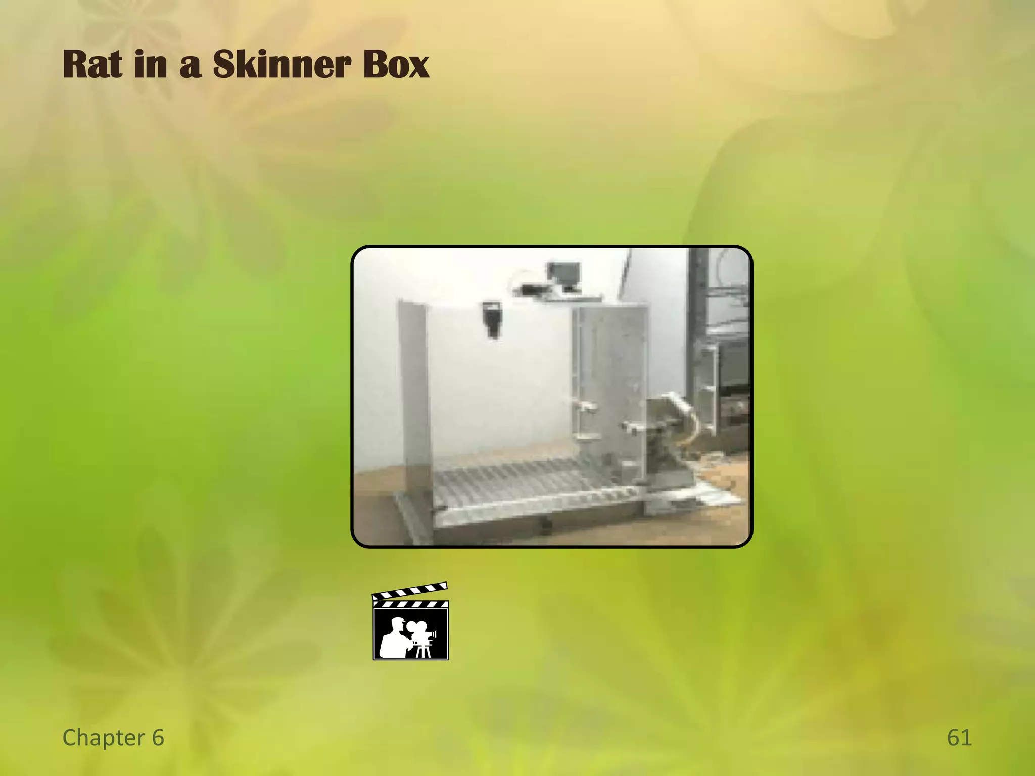 Schedules of Reinforcement:  Ratio schedules.Fixed ratio:  reinforcement is provided after a fixed number of correct responses have been made.Variable ratio:  Reinforcement is provided after a variable number of correct responses.Both ratio schedules maintain high rates of responding.Shaping reinforces progressive steps toward the behavioral goal.Reinforce successive approximations of the goal.Operant Conditioning