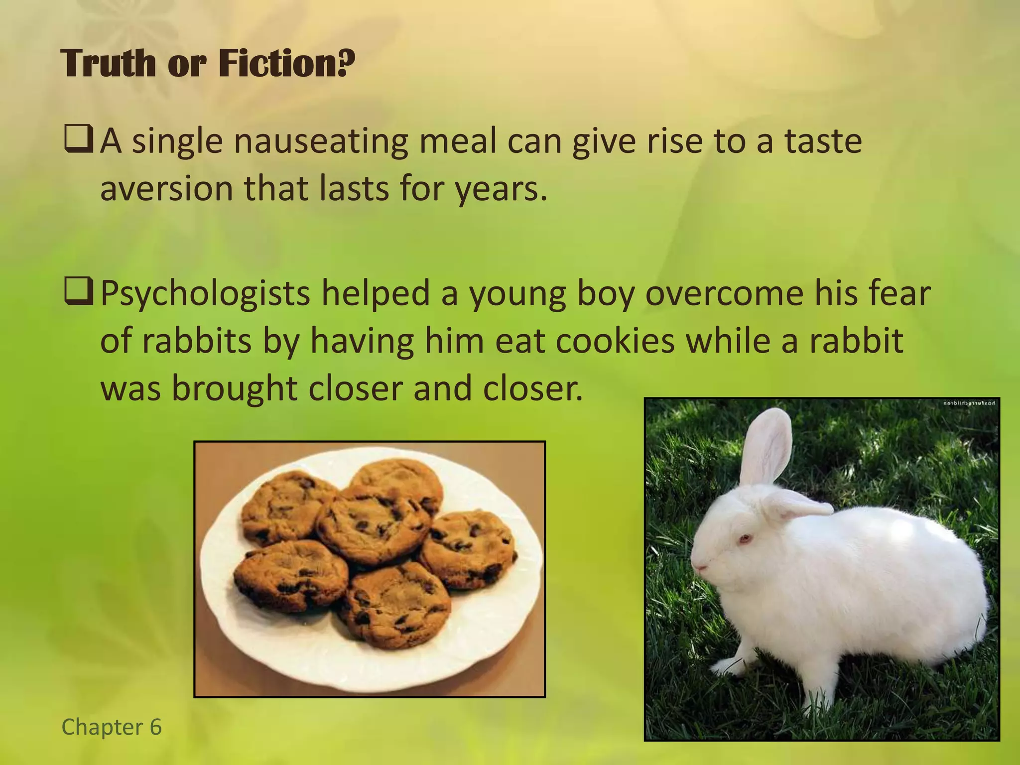 Classical ConditioningLearning What Is Linked To What