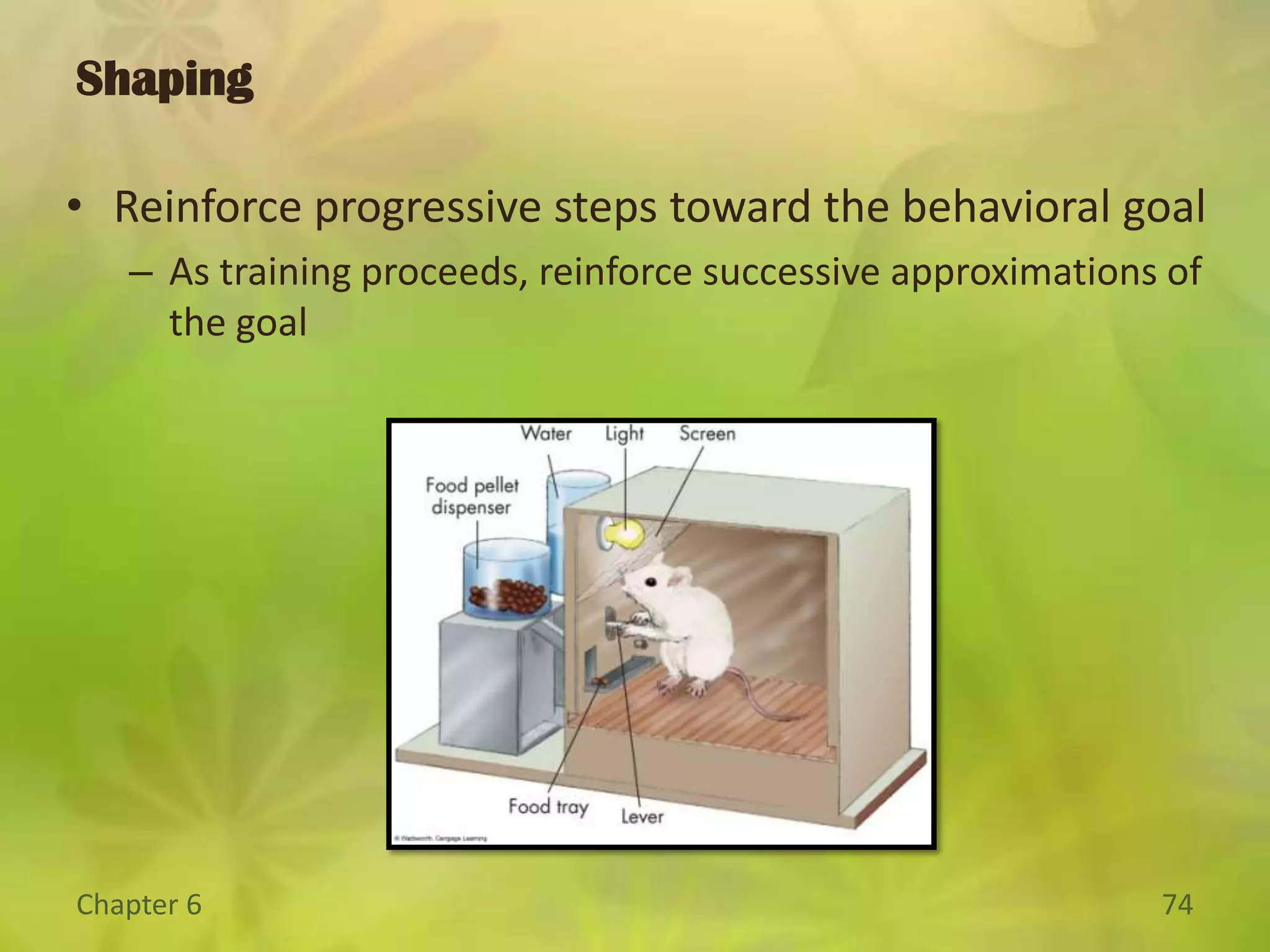 Slot machine players pop coins into the machines most rapidly when they have no idea when they might win.Truth or Fiction?You can train a rat to climb a ramp, cross a bridge, climb a ladder, pedal a toy car, and do several other tasks – all in proper sequence.Truth or Fiction?You have to make mistakes to learn.
