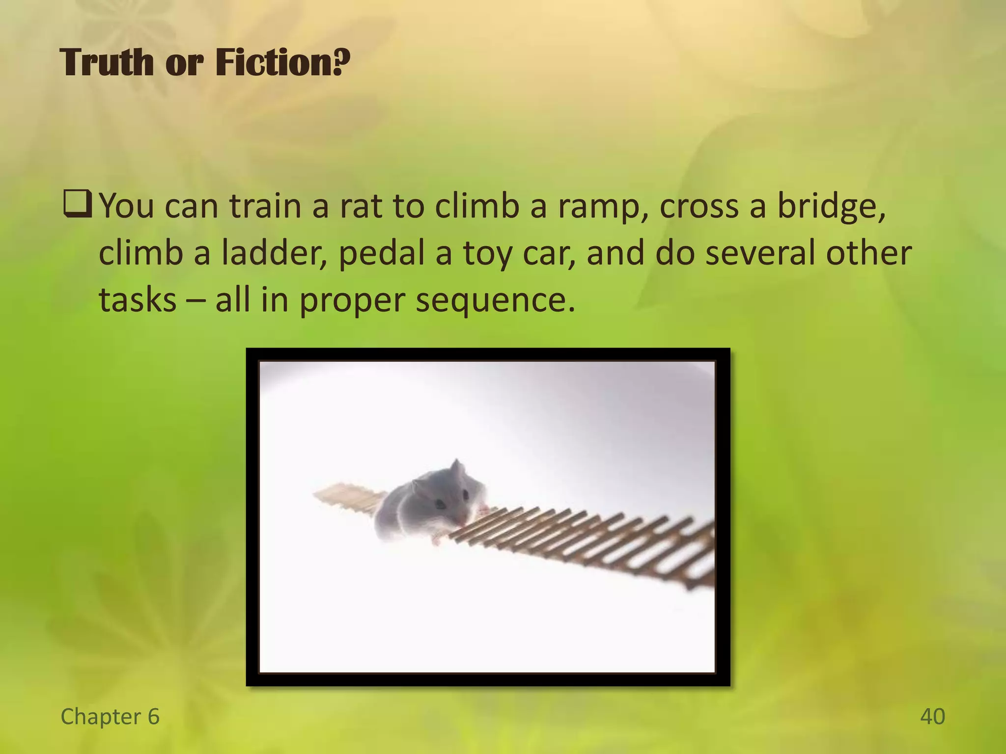 Controversy In Psychology: Why did Pavlov’s dogs learn to salivate in response to the bell?Organisms form associations between stimuli because the stimuli are contiguous – that is they occur at about the same time.Cognitive psychologists view classical conditioning as the learning of relationships among events. The focus is on the information gained by the organism which is not how the behaviorists see it (Stimulus leads to response).