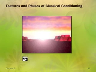 Generalization and Discrimination.Generalization the tendency for a conditioned response to be evoked by stimuli similar to the stimulus to which the response was conditioned.Discrimination:  organisms must learn that:Many stimuli perceived as being similar are functionally different.The organism must respond adaptively to each.Higher Order ConditioningIn Higher Order Conditioning a previously neutral stimulus comes to serve as a learned or CS after being paired repeatedly with a stimulus that has already become learned.  Classical Conditioning