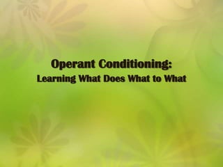 Discriminative stimuli act as cues by providing information about when an operant will be reinforced.Operant Conditioning