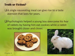 Classical ConditioningLearning What Is Linked To What