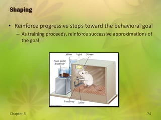 Slot machine players pop coins into the machines most rapidly when they have no idea when they might win.Truth or Fiction?You can train a rat to climb a ramp, cross a bridge, climb a ladder, pedal a toy car, and do several other tasks – all in proper sequence.Truth or Fiction?You have to make mistakes to learn.