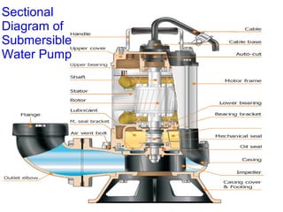 Sectional
Diagram of
Submersible
Water Pump
 