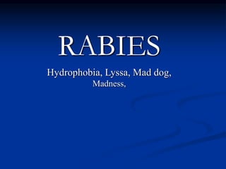 this powert point presentation is all about rabies. | PPT