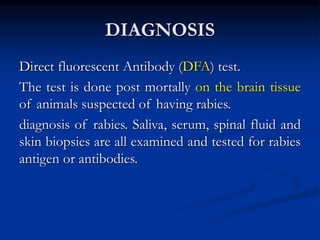 this powert point presentation is all about rabies. | PPT