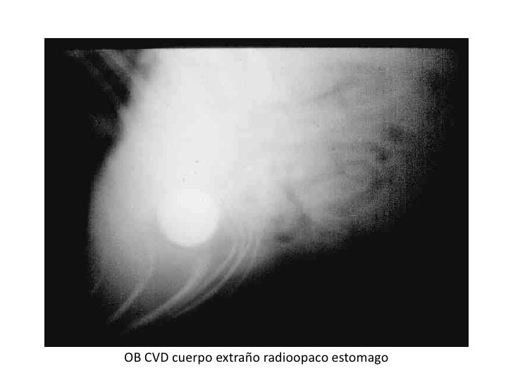 6 Radiologia De Abdomen