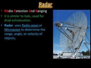 Seeing With Ears:The Echolocation | PPT