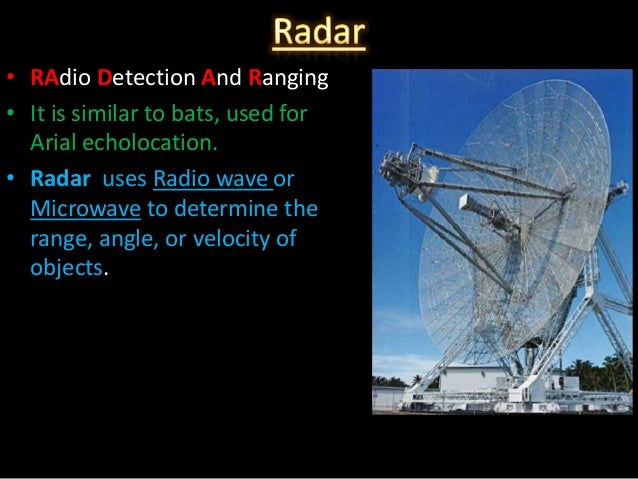 Seeing With Ears:The Echolocation