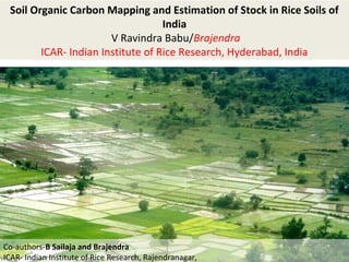 Soil Organic Carbon Mapping and Estimation of Stock in Rice Soils of
India
V Ravindra Babu/Brajendra
ICAR- Indian Institute of Rice Research, Hyderabad, India
Co-authors-B Sailaja and Brajendra
ICAR- Indian Institute of Rice Research, Rajendranagar,
 