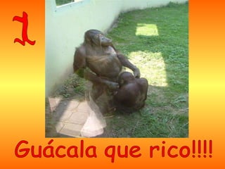 2º - Si no eres parte de la solución, eres parte del problema.